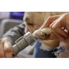 Brusný kotouč Pet Grooming AC zrnitost 60 Dremel SD60-PGK SpeedClic
