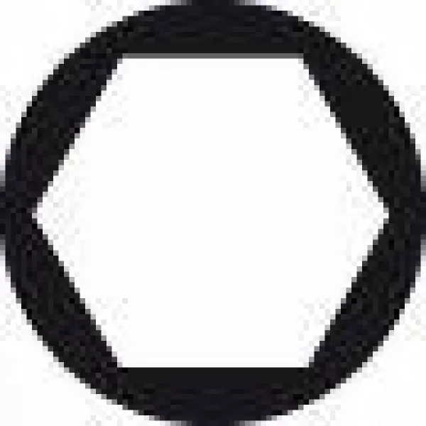 Šroubovací bit zvlášť tvrdý Extra-Hart HEX 5, 49 mm Bosch 2607001734