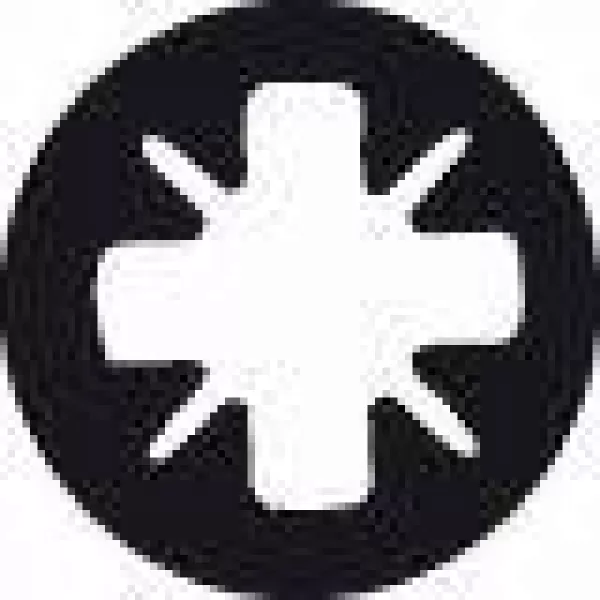 Šroubovací bity Max Grip pro šrouby s křížovou drážkou Pozidriv. Bosch 2607001599