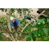 Aku teleskopický prořezávač větví 1x2,5Ah Bosch UniversalChainPole 18 06008B3100