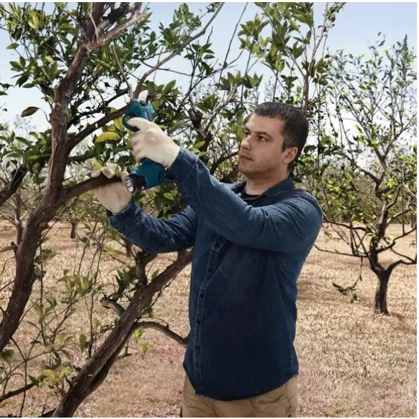 Aku zahradnické nůžky 12V 2x3,0Ah Bosch Pro Pruner 06019K1021